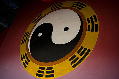 袁子仪杨柳全部作品顺序：影视新星袁子仪杨柳：演绎生涯回顾，多题材作品引热议-1