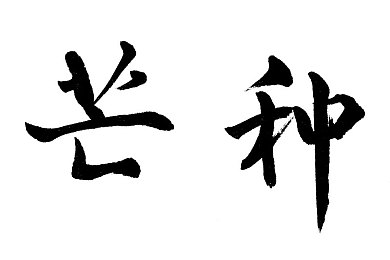 漂亮儿媳秦雨老旺结局怎么样：浪漫养成攻略揭秘：深度解析《游戏名》多结局策略与剧情走向