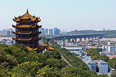 火箭少女流豆浆动漫：潮流碰撞偶像魅力，动漫爱好者新宠“火箭少女流豆浆”体验分享-2