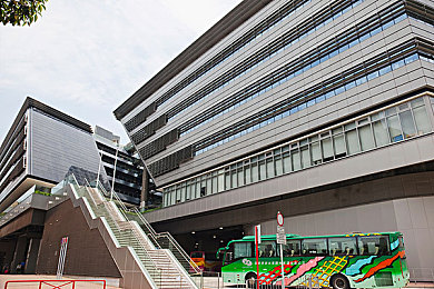 色情软件在线：重拳出击，网络净化：全社会共筑清朗空间，严打色情内容蔓延之潮-2