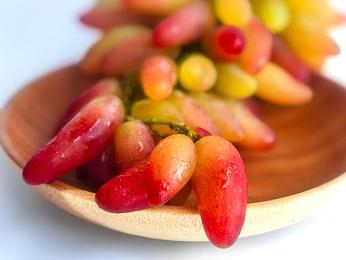 黄色APP在线免费下载：揭秘网络迷雾：免费下载APP背后的色情陷阱，共同守护清朗网络空间-1