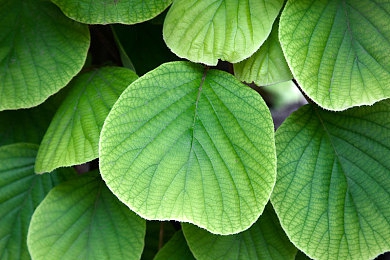 性按摩xxxx：揭秘“悦享”按摩：探析行业变革中的规范与偏见-1