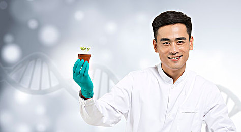 色多多网络：互联网领航者：技术创新铸就行业典范，口碑口碑引领服务新纪元-3