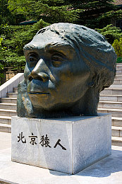 体育生白色袜子自慰：“校园安全隐患引深思：白色袜子自慰事件揭示学生心理健康与性教育缺失挑战”-2