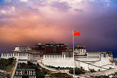 gogogo高清完整版：高清视界，gogogo引领潮流之旅-1