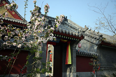 自由性别凸轮管西元：性别自由新纪元，奇幻冒险之旅等你开启：探索《凸轮管西元》多元世界