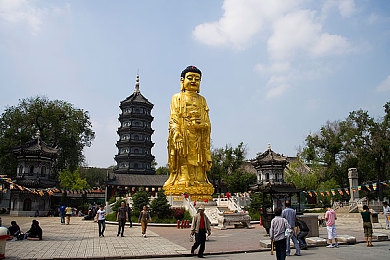 英语老师的兔子好大：奇幻乐园学英语，趣味兔子课堂行