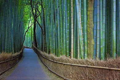 十大禁用黄软：破解禁用黄软迷局，畅游公平游戏乐园