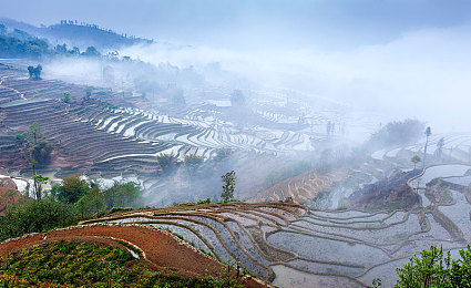 B站刺激战场直播：直播风云：B站刺激战场魅力无限，观众狂热追捧，正能量传播助力青少年成长