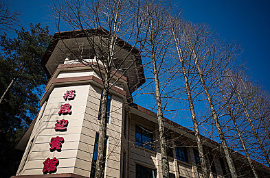 回乡大巴车最后一排：归乡之旅：温情大巴，共筑团圆梦-1