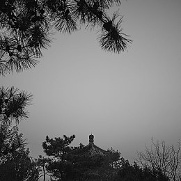 极端奴役受虐狂XXXⅩ：网络奴役黑洞：揭开人性阴暗面，法治守护正义之光-2