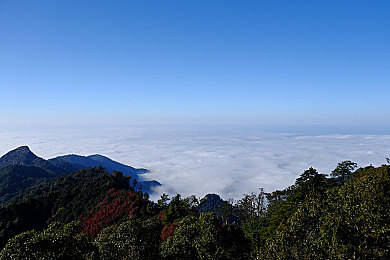 一卡二卡号码会不会乱码免费：数字时代难题：携号转网背后的号码乱码困扰与解密策略