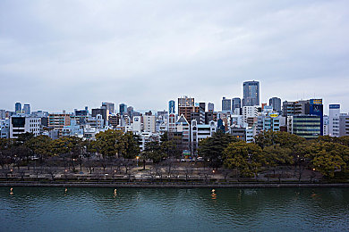 大菠萝福建官方入口：闽韵飘香，奇幻“菠萝”世界，玩家情感共鸣之旅-3