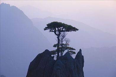 每日大赛在线吃瓜入口：电竞盛宴，直播平台创新引领潮流，一键畅享全球电竞风云