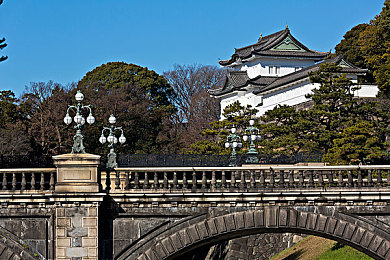 坤坤塞进桃子：探索坤坤秘境，解锁桃核奇遇，趣味冒险乐无边-3