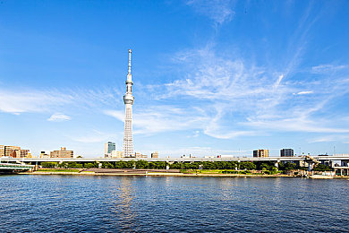 今日黑料 独家爆料 在线：娱乐圈揭秘：抄袭风波，星光暗淡，诚信何在？