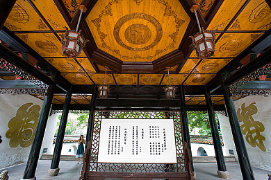蓝莓视频网站：数字蓝莓，创意视界，共享精彩-2