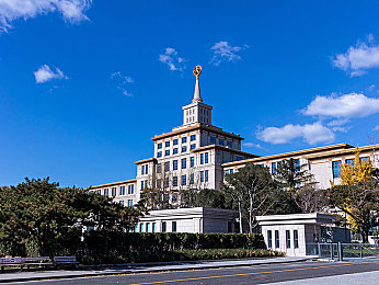 年轻的母亲2023：新时代育儿先锋，职场家庭两不误，社会共筑温馨梦-2