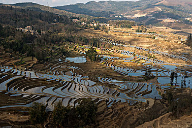红桃视频网站入口：畅游视听新天地：揭秘热门平台，海量影视资源等你来享-3