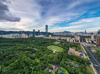 色游戏黄：揭秘游戏迷雾：守护青春，共筑绿色游戏空间-1