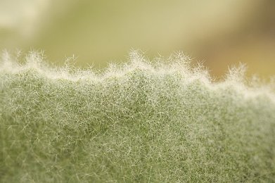 视频久久：穿越奇幻史诗，勇闯永恒秘境，勇者之旅等你启航-2