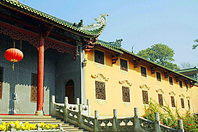 办公室玩秘书：揭秘职场变迁：从传统文秘到综合秘书，探寻办公室角色演变之路-2