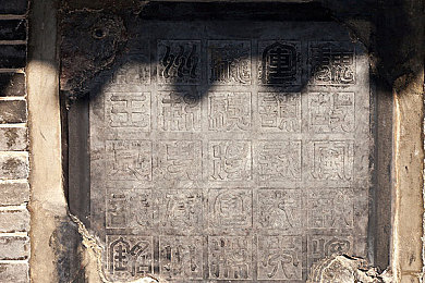 mm直播：直播新天地，互动乐趣多