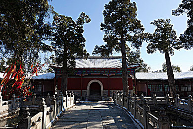 體育生宿捨大雞巴自慰：体育竞技游戏新潮体验：激情运动元素引网友热议-2