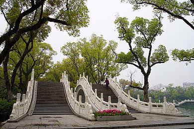 邪恶无画翼鸟工本口子全彩：揭秘游戏神秘元素：暗黑翼鸟装备魅力解析，引领奇幻冒险新篇章