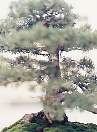 操逼免费app：娱乐盛宴，指尖畅游——解锁生活新乐趣-1