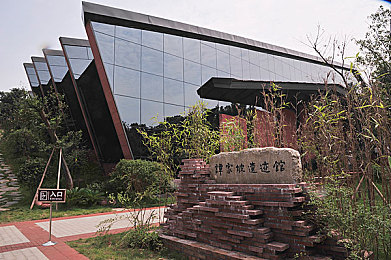 张丽黑人evelynlin多人：跨界友谊触动心弦：张丽Evelyn Lin的多元文化交流之旅