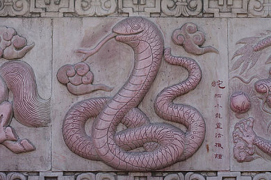 日韩国产一区二区三区：揭秘影视市场新风向：网络热词“一区二区三区”背后的产业秘密与消费变革