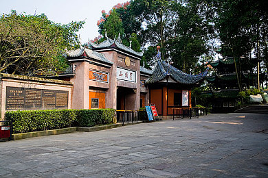 含羞草直接进入麻豆：植物奥秘：揭秘含羞草瞬间“麻豆”奇观，唤起科学普及热潮-2