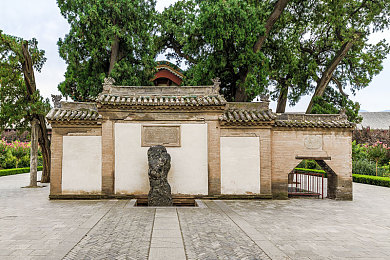 天娱传媒梦梦回家相亲：明星梦寻缘，温馨乡相亲记-2