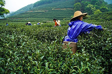 黑料91大事件：网络风暴：揭秘“黑料91”事件，探讨言论自由与网络暴力边界-2