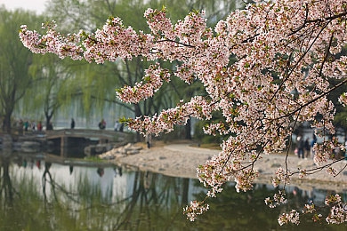 草莓视频污污站长统计：网络文化探秘：揭秘“草莓视频”背后的站长数据统计之旅-3