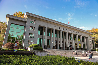 永久免费   未满男同：冒险征途，永恒友情，探寻未满世界的奇幻旅程