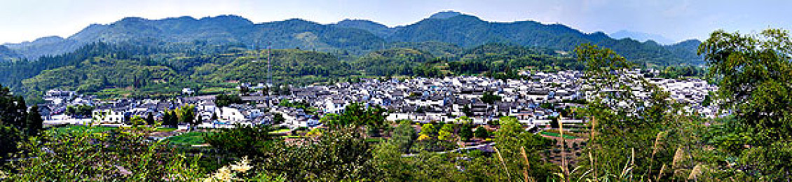 1995丛林泰山HR意大利：穿越奇幻丛林，重温1995年经典冒险：揭秘《丛林泰山》游戏魅力-1