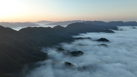 母爱的颜色主要写了什么：温情画卷，感受母爱力量——探寻《母爱色彩》的心灵之旅-2