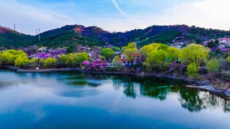 ONLYfans柚子猫小僵尸：网络红人柚子猫小僵尸：从搞笑短视频到百万粉丝，揭秘她的魅力成长之路
