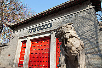 404禁黄软件：网络清道夫，守护青春防线，共建绿色网络家园