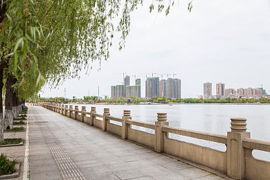 成人污污视频：揭秘情感共鸣，创意无限——网视频探秘之旅-3