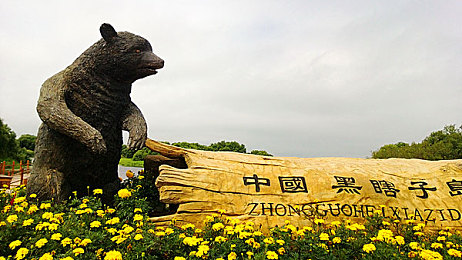 爱脚脚jiojio51：东北萌妹抖音爆红，独特魅力引粉丝狂潮
