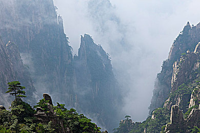 罗宾给乔巴进行治疗：医术仁心映伙伴深情，温馨治愈之旅动人心弦-1