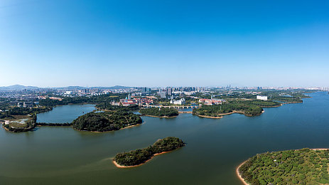 花季黄传媒：梦想启航，新媒体青春力量传奇