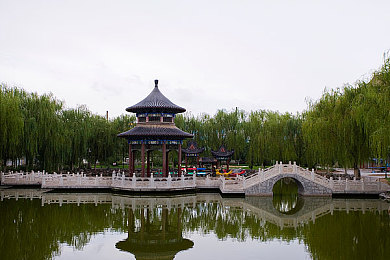搞机tim免费不收钱嘉兴圈：科技修仙，免费搞机，嘉兴圈热力开启