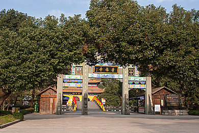 红桃视频隐：揭秘神秘平台，短视频新势力，创新守护隐私，激战市场争锋-2