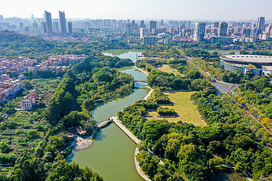 九六视频：娱乐天地，一键解锁，个性化视听盛宴
