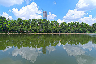 九九热网站：海量娱乐资源，一键享受视觉盛宴：探索新晋热门在线娱乐平台-3