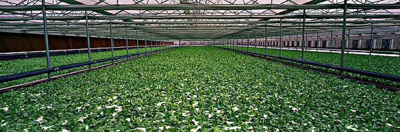 拍戏时胶带掉了进入护具开了：影视现场惊魂一幕，安全防护胶带脱落警示录-2